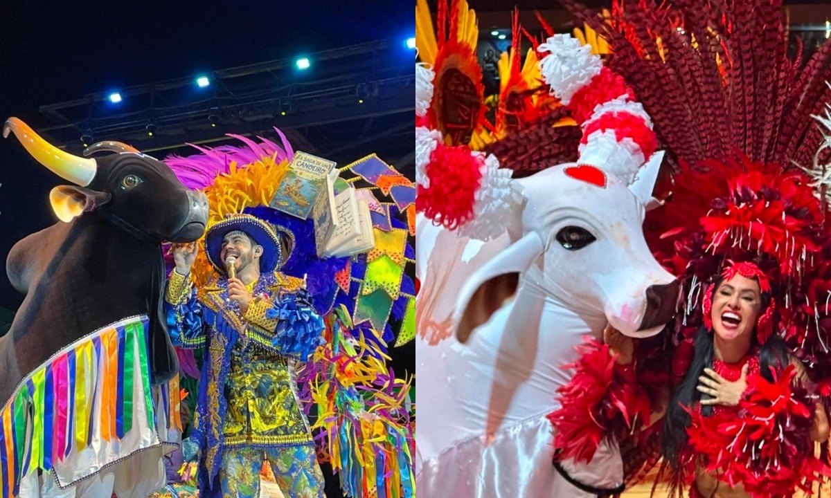A Confluência Inusitada entre a Copa do Mundo e a Identidade Cultural Amazonense: O Caso 'Pode Remar'