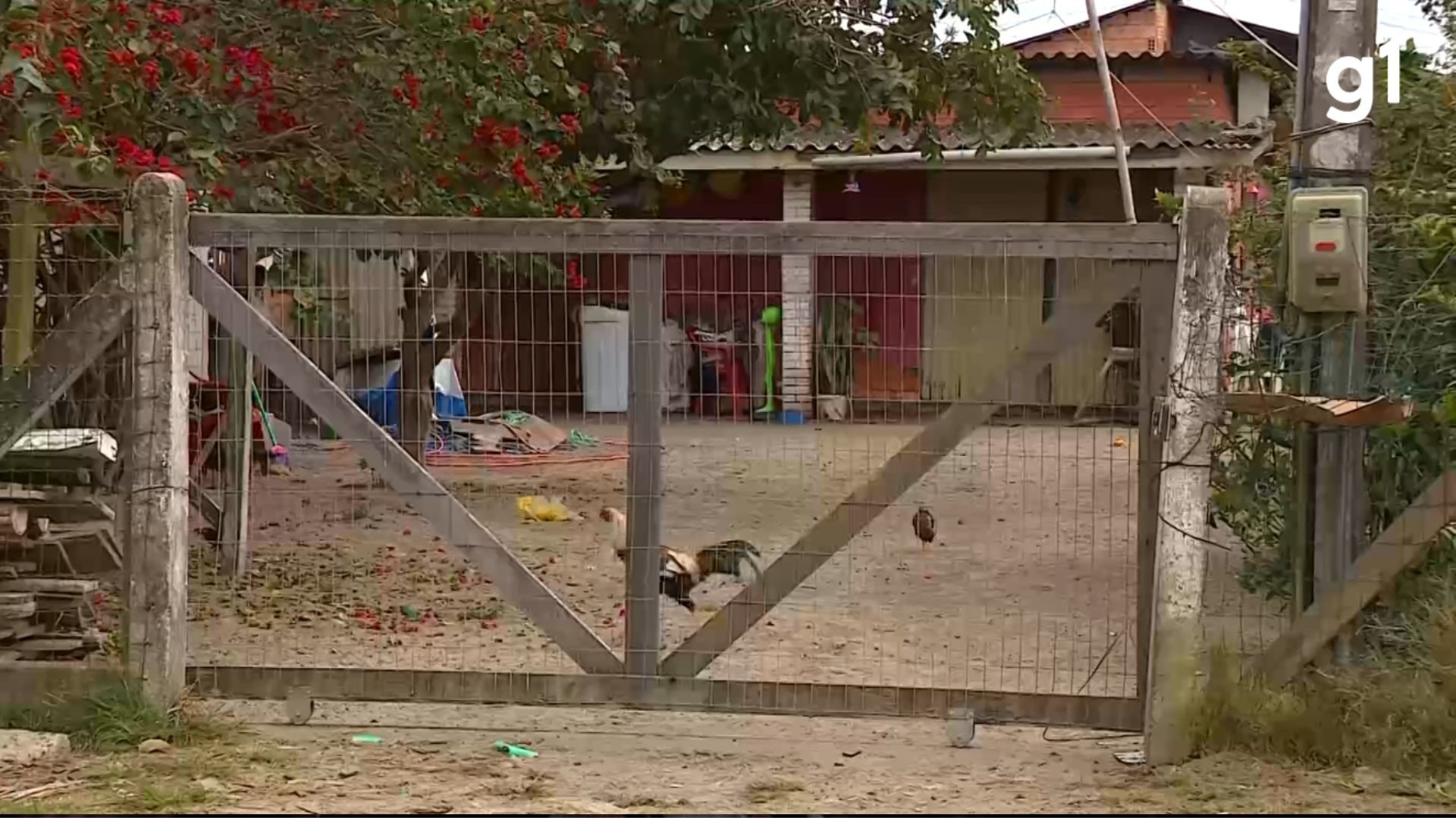 Arroio Teixeira: Latrocínio Escancara Fragilidade da Paz no Litoral Gaúcho e Desafia Segurança Regional