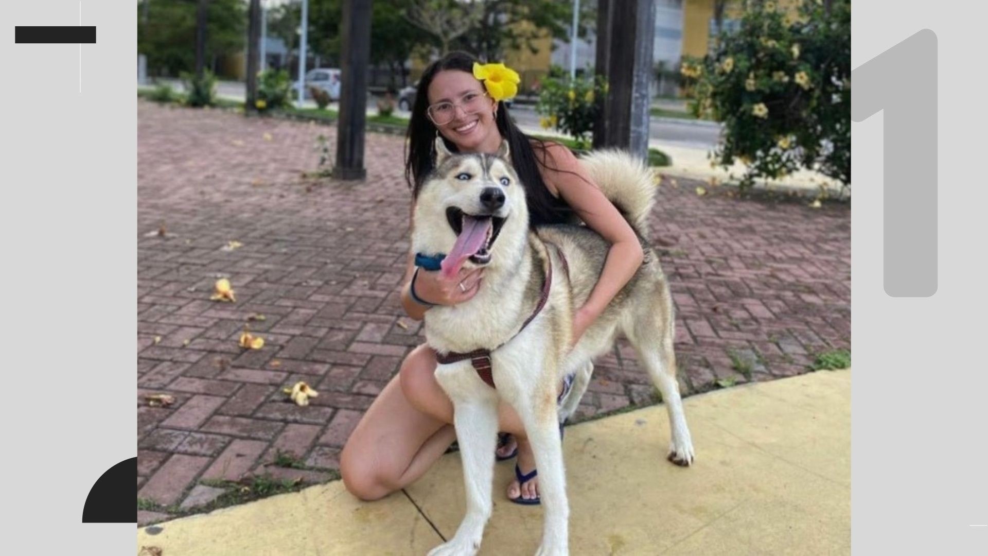Linhares: Envenenamento de Cães em Praça Pública Eleva Alerta Sobre Segurança Urbana e Convivência Comunitária