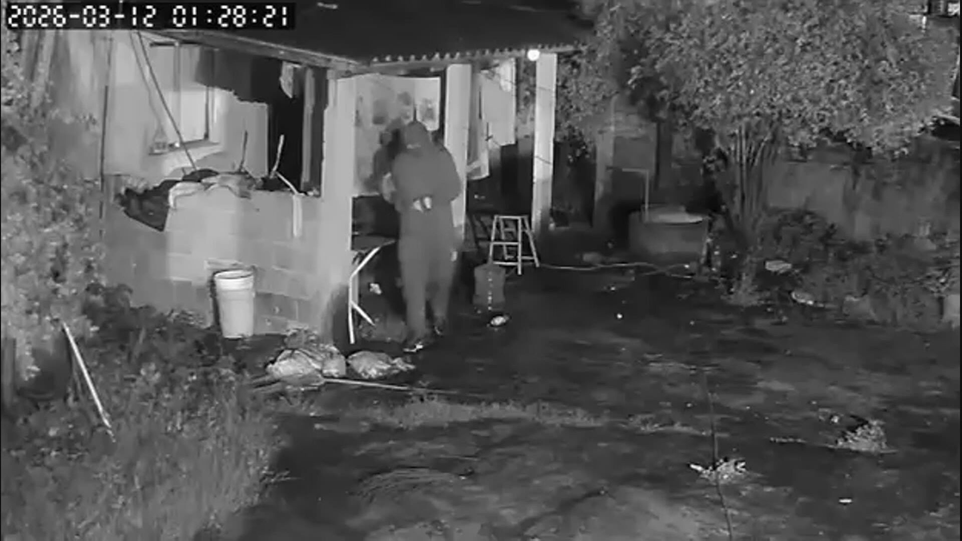 Tentativa de Feminicídio no RJ: Além da Prisão, o Alerta para a Segurança Doméstica Regional