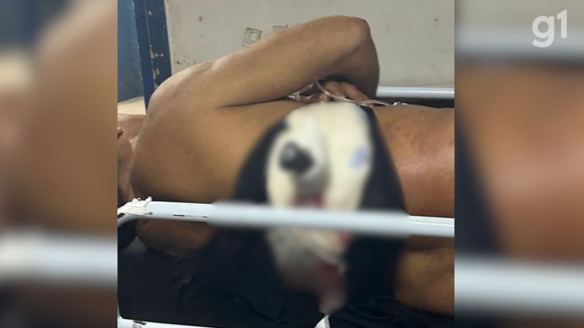 Imperatriz em Xeque: O Caso da Agressão Mútua Revela Lacunas na Segurança Doméstica Regional