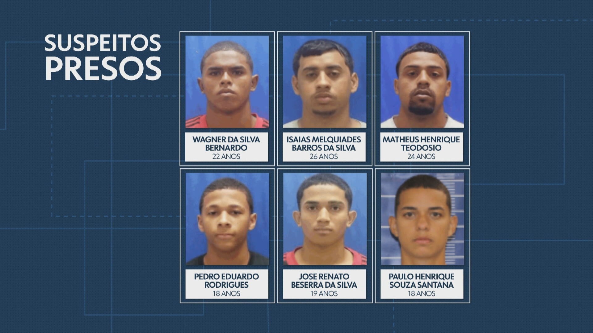 Precedente no Rio: "Decreto Cão Orelha" e a Nova Era de Punição por Maus-Tratos a Animais