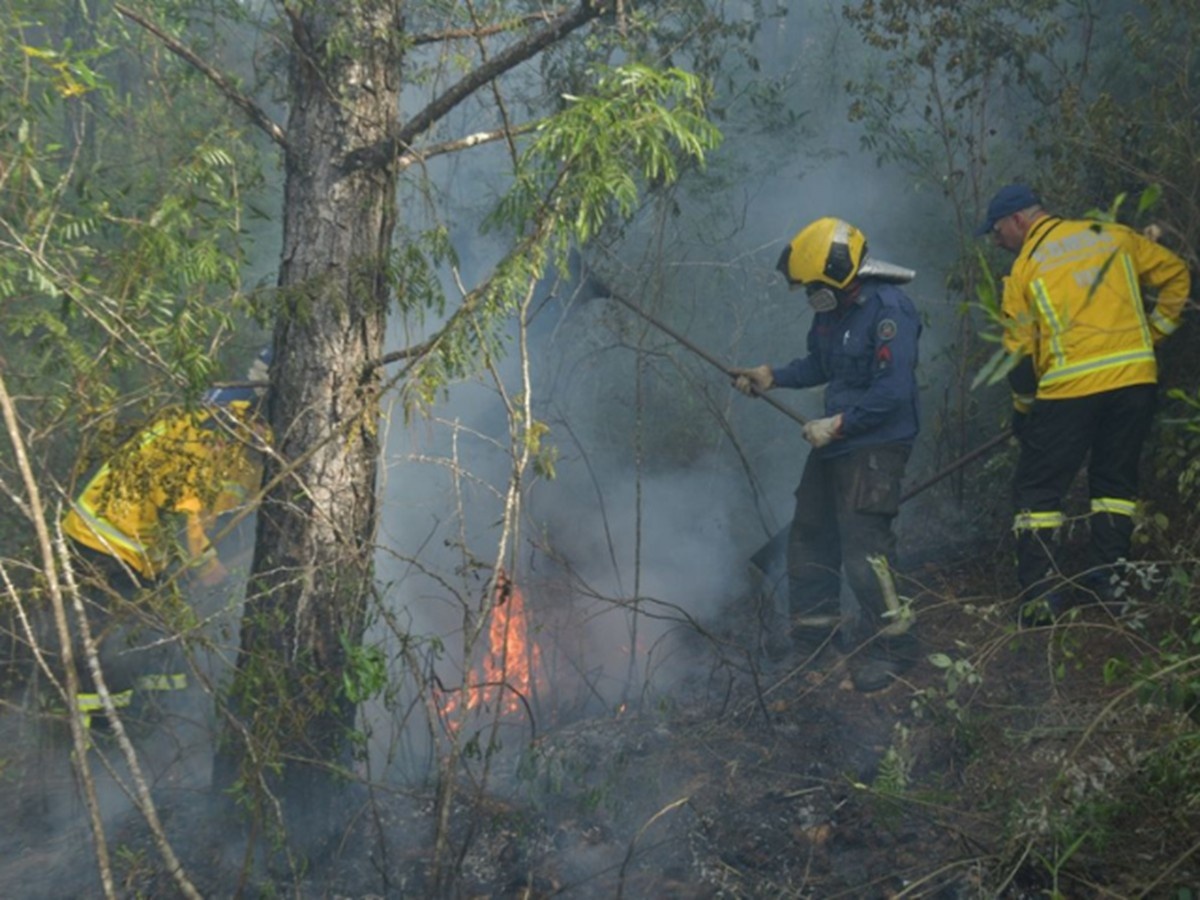 Santa Catarina Revoluciona Prevenção de Incêndios com Plataforma Exclusiva de Monitoramento de Risco