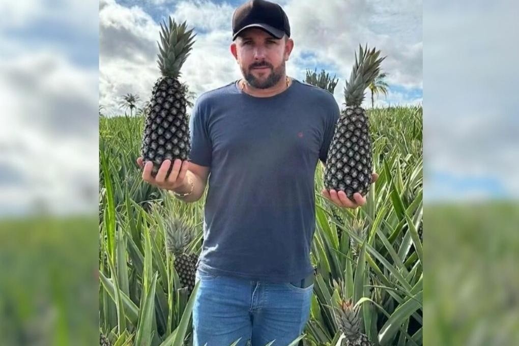 A Trama por Trás do Homicídio de 'Geraldo do Abacaxi': Disputas Comerciais Desembocam em Violência Letal no Tocantins