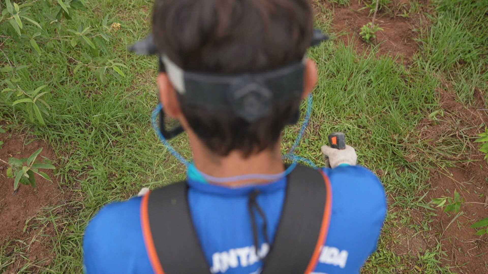 Legado Verde e Reinserção Social: Como Detentos Transformam o Meio Ambiente e o Futuro do Rio de Janeiro