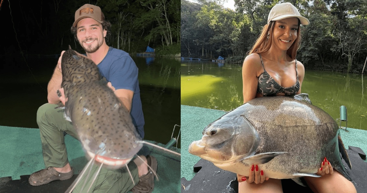 Além do Romance: A Convergência de Talentos e Estratégias na Indústria Sertaneja com Maiara e Felipe Cavalliere