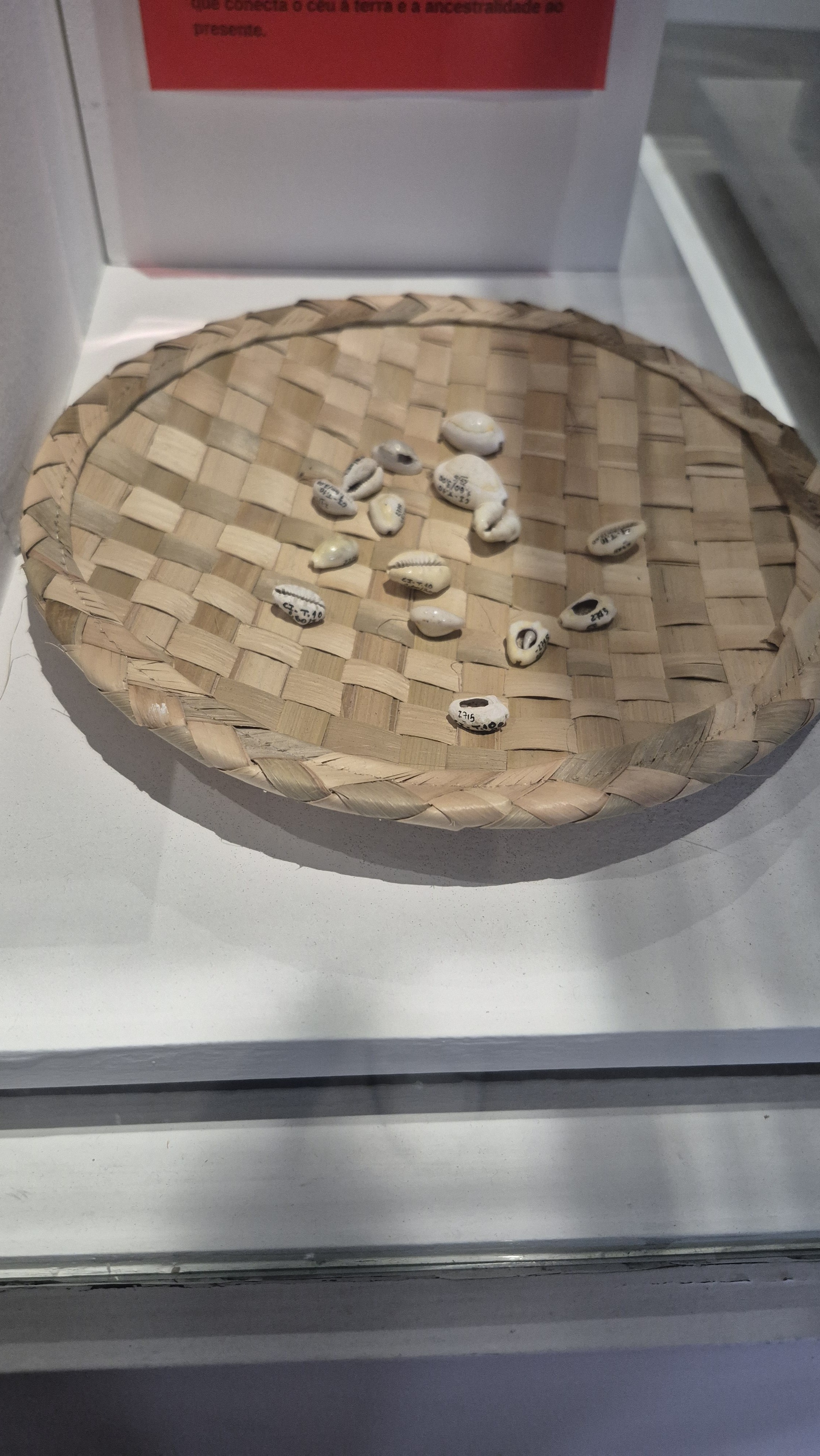 Cais do Valongo: 15 Anos de Revelações e o Reencontro do Rio com Sua Memória Fundamental