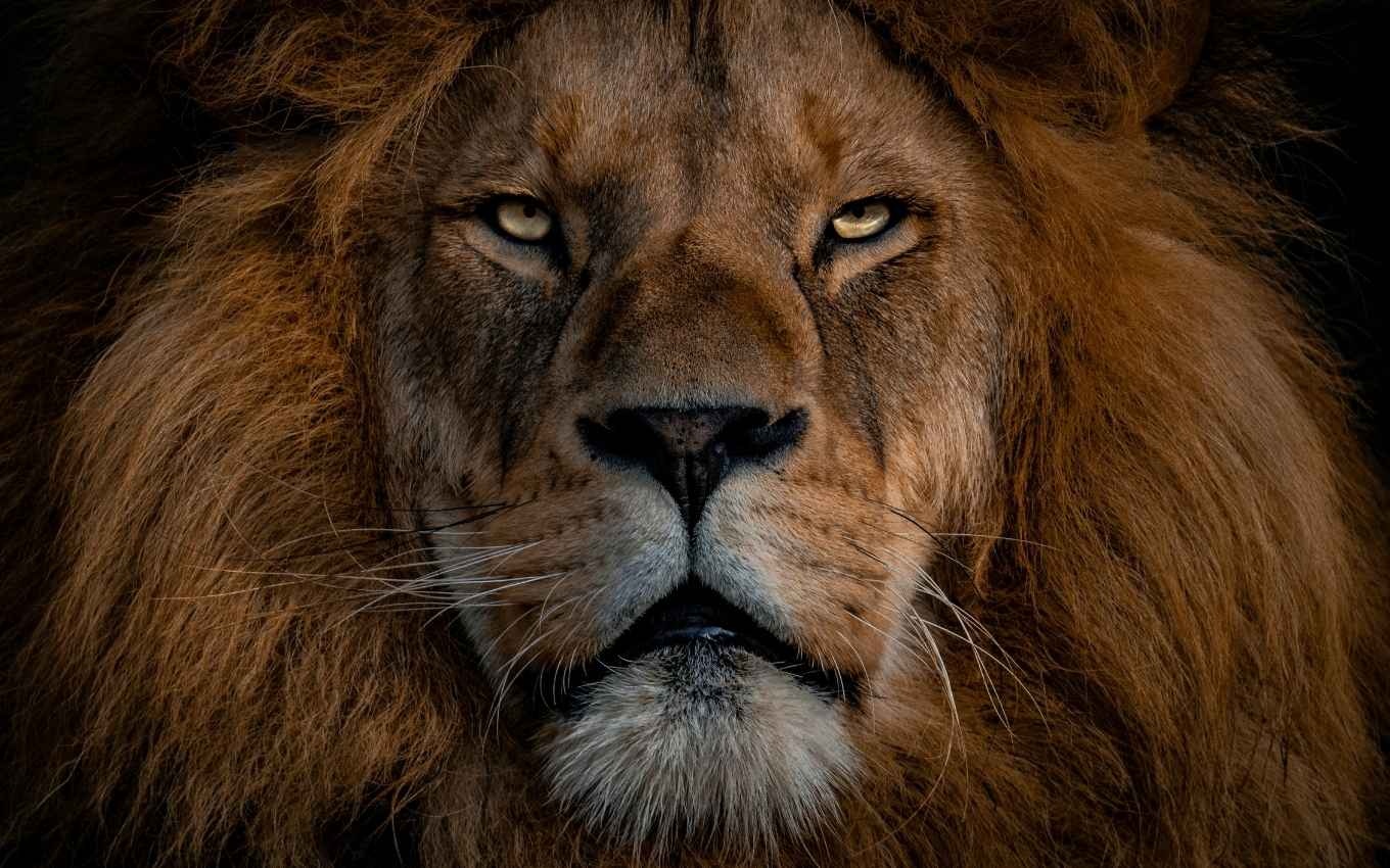 Imposto de Renda 2026: Decodificando o Prazo e Seus Impactos Fiscais no Bolso do Brasileiro