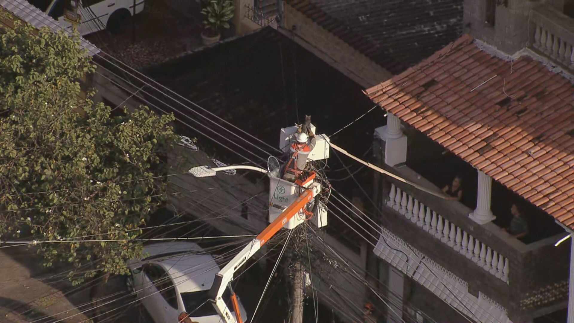 O Gato no Poste: Reflexões sobre Resiliência Comunitária e Infraestrutura Urbana na Zona Norte do Rio