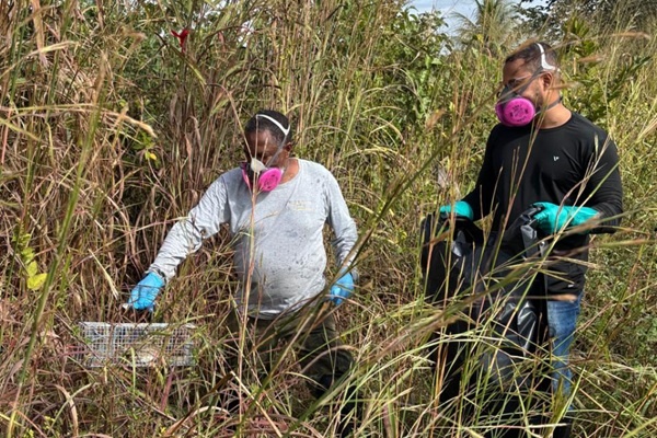 Vigilância de Zoonoses: Fiocruz Lidera Retomada Estratégica para Proteger o Brasil de Próximas Pandemias Silenciosas