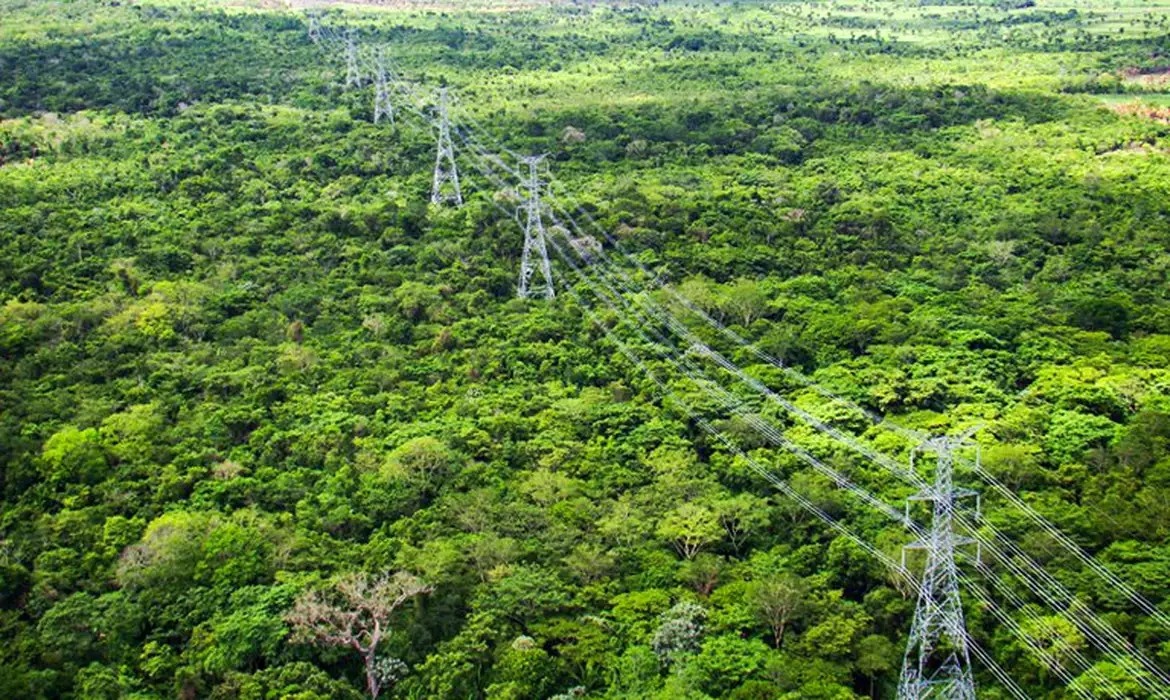 Roraima: Análise Exclusiva sobre os R$ 165 Milhões Destinados à Redução da Conta de Luz
