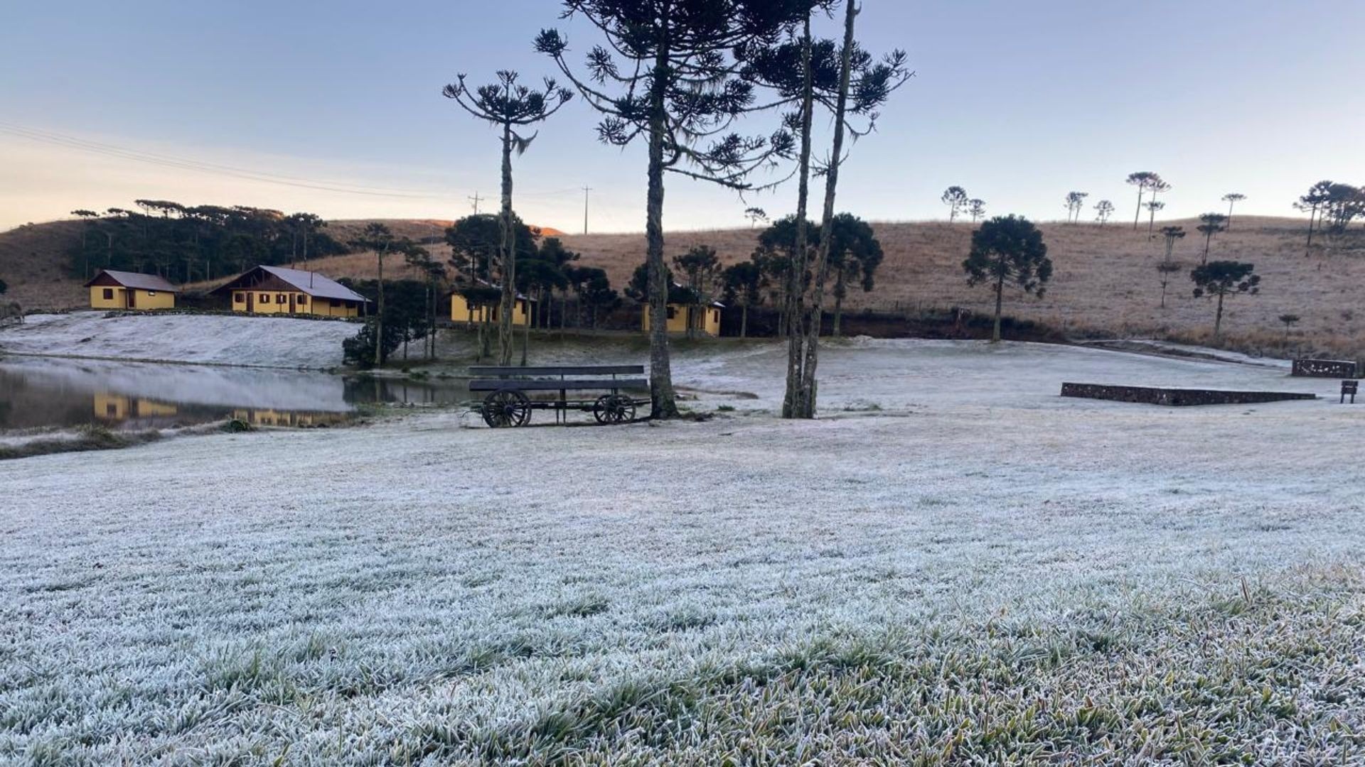Frio Extremo no RS: Repercussões Além da Geada e o Desafio da Adaptação Regional