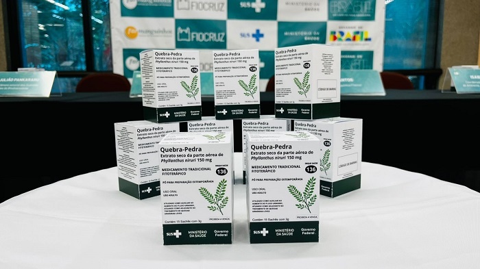 Fitoterápico de Quebra-Pedra: Brasil Lidera Nova Era na Saúde e Bioeconomia Justa