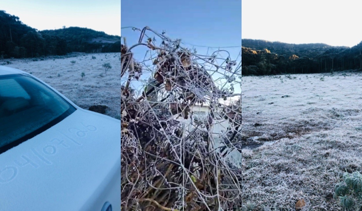 Onda de Frio Extremo em Santa Catarina: Análise das Implicações Regionais Além da Paisagem Congelada