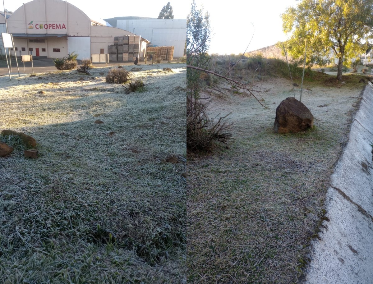 Santa Catarina Enfrenta Frio Extremo: Entenda os Impactos Duradouros das Temperaturas Recordes na Serra Catarinense