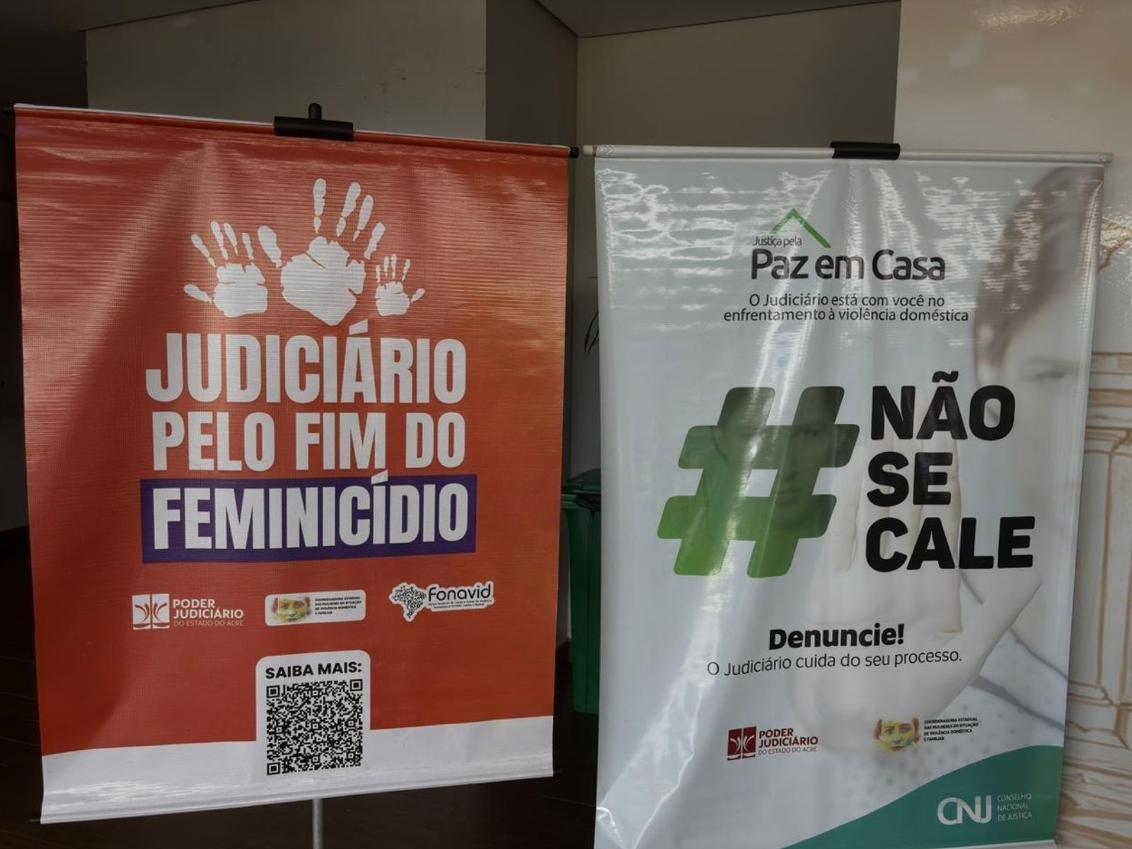 Mutirão 'Justiça Pela Paz em Casa' no Acre: Entre a Urgência da Denúncia e o Desafio da Efetividade
