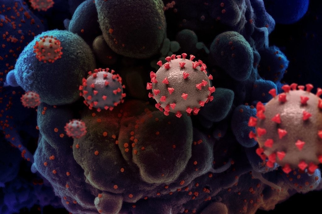 Aumento da SRAG em Sergipe: Entenda os Riscos e Impactos Regionais