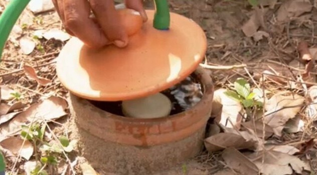 Revolução Silenciosa no Campo Paraense: Irrigação Sustentável com Potes de Argila Altera o Cenário da Agricultura Familiar