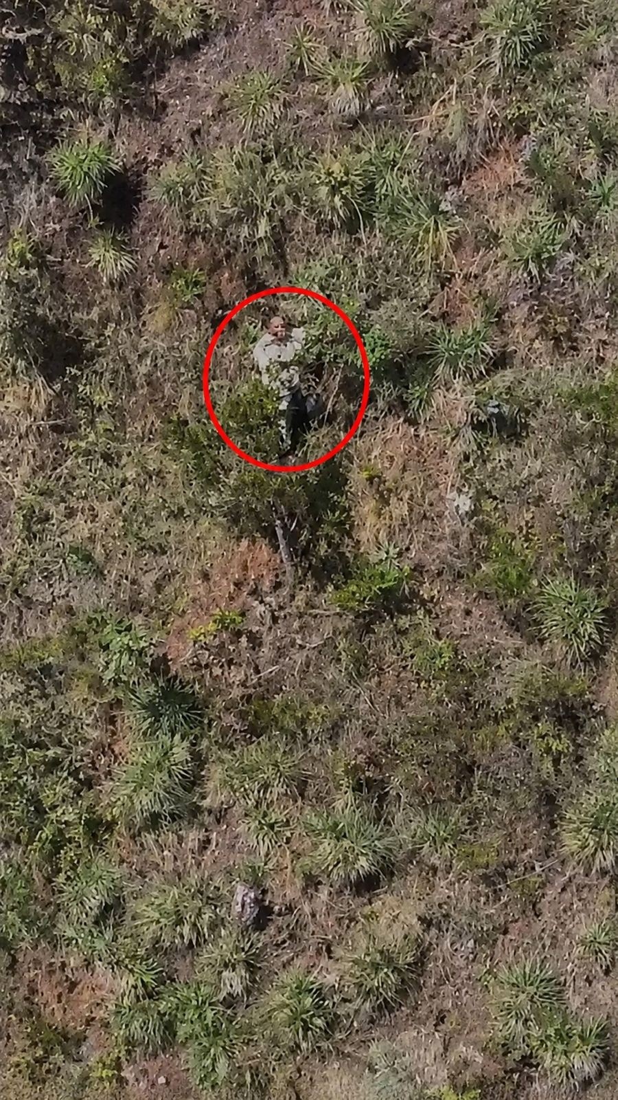 Para Além do Penhasco: O Alerta Crônico da Violência Doméstica em Minas Gerais