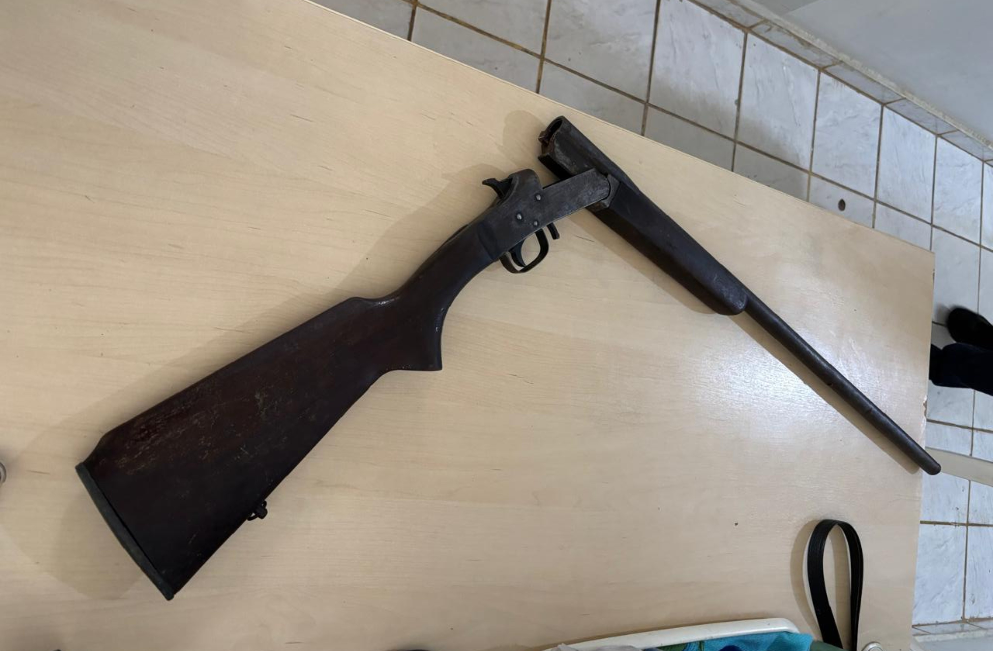 Liberdade Provisória e o Dilema da Segurança em Mucajaí: A Análise Pós-Prisão por Violência Doméstica