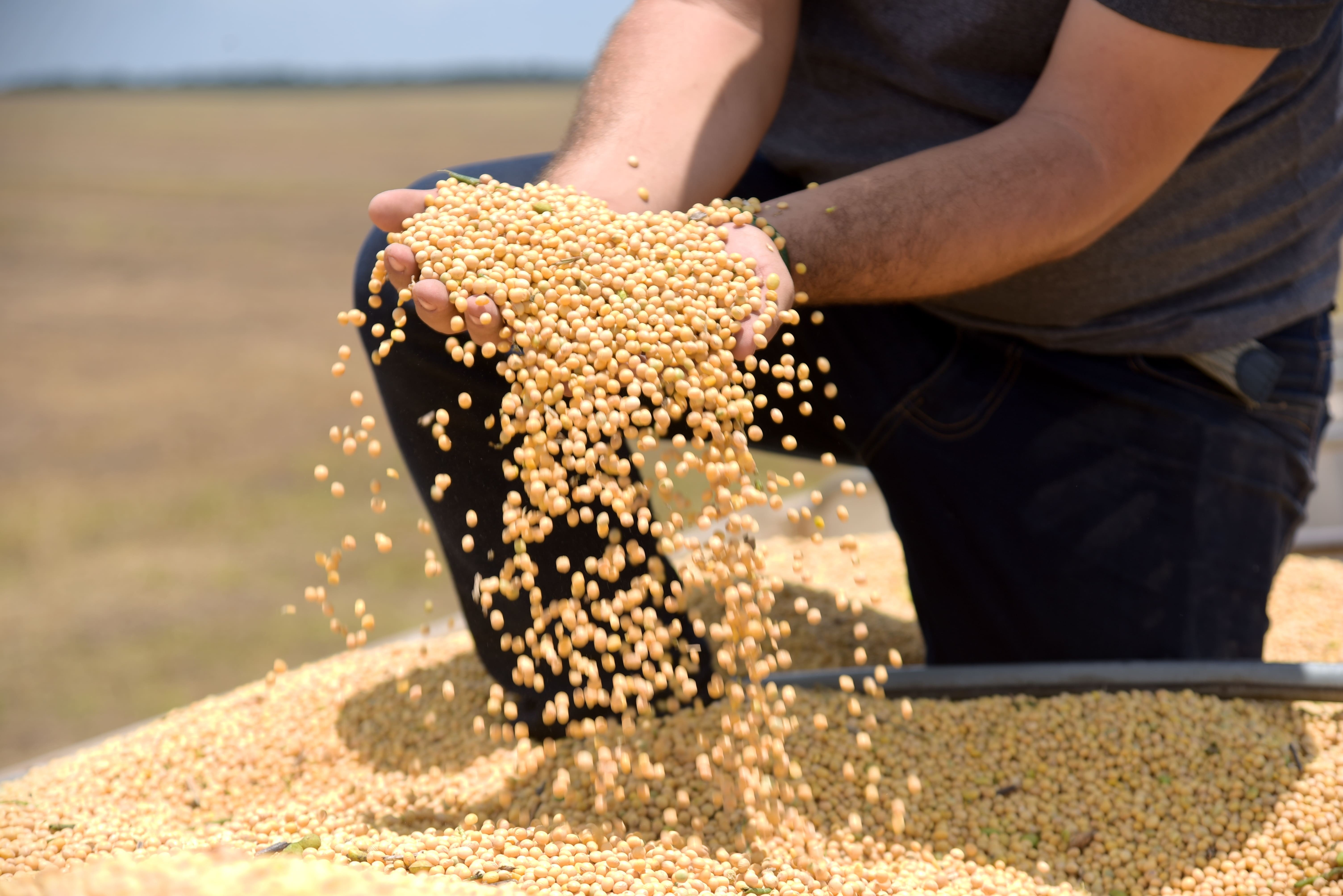 Tarifas Americanas Redefinem Cenário para Exportações Agropecuárias Brasileiras