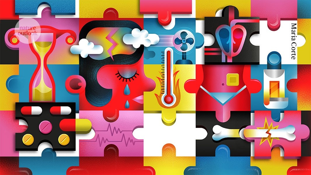 Perimenopausa: O Vazio Científico que Molda a Saúde Feminina Global e a Percepção Pública