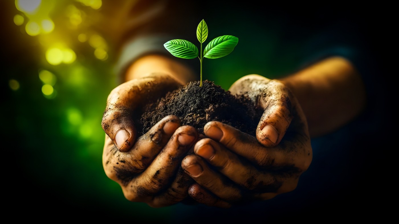 A Revolução Silenciosa da Tinta: Como a Sustentabilidade na Parede Redefine o Consumo e a Economia Regional