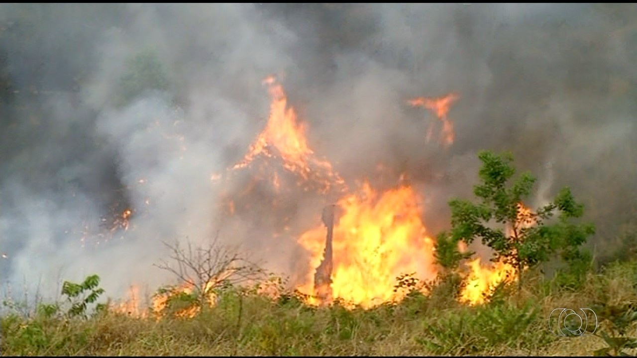 Tocantins Suspende Queimas Controladas: Um Marco na Gestão Ambiental Regional Contra Incêndios Críticos