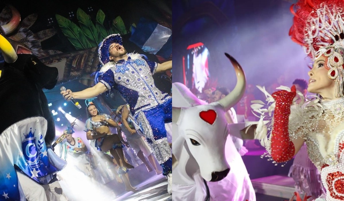 Ensaios dos Bumbás: Mais que Folia, um Motor Cultural e Econômico para o Amazonas