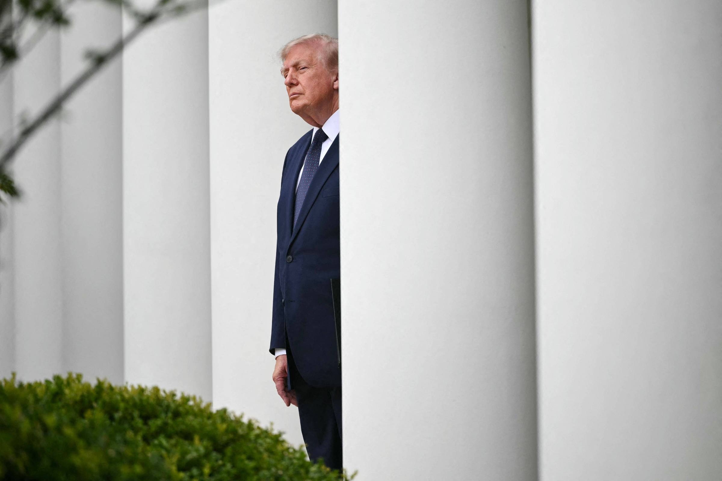 O Custo da Lealdade: Como a Estratégia de Trump Impacta a Economia Pessoal de Seus Apoiadores e a Unidade Nacional