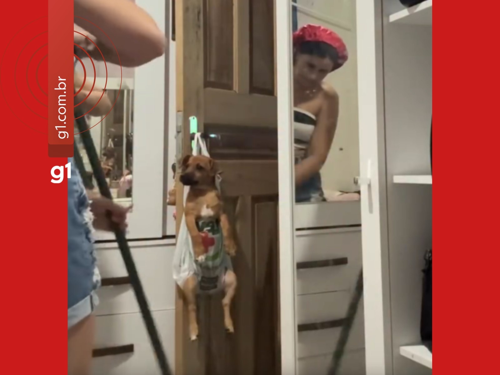 Viralização de Conteúdo do Acre: Desvendando a Economia da Atenção e Impacto Regional