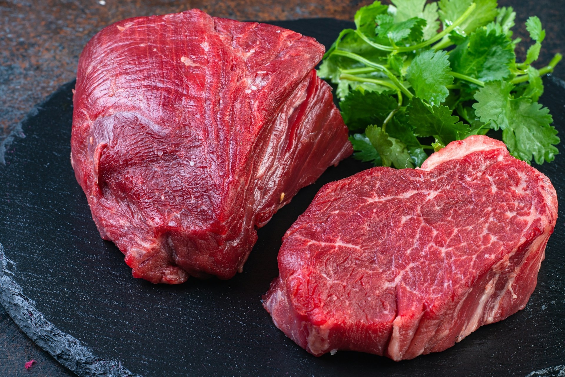 Veto da União Europeia à Carne Brasileira: Implicações Profundas para o Agronegócio Global