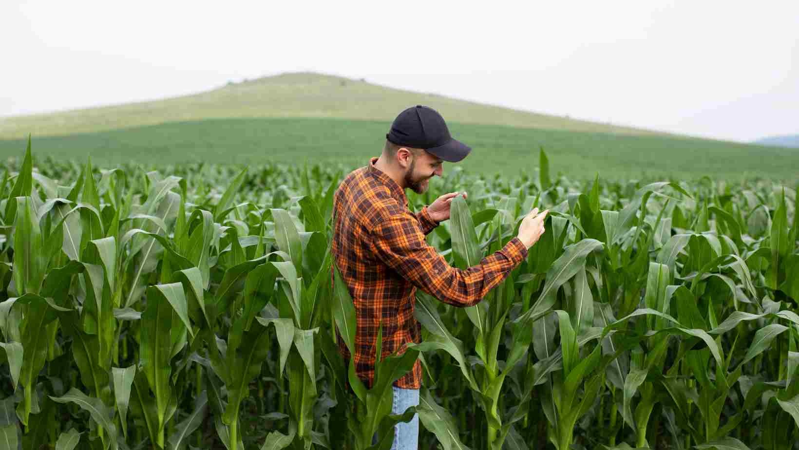 O Despertar Tecnológico do Agronegócio Brasileiro: Entre Commodities e Inovação Soberana