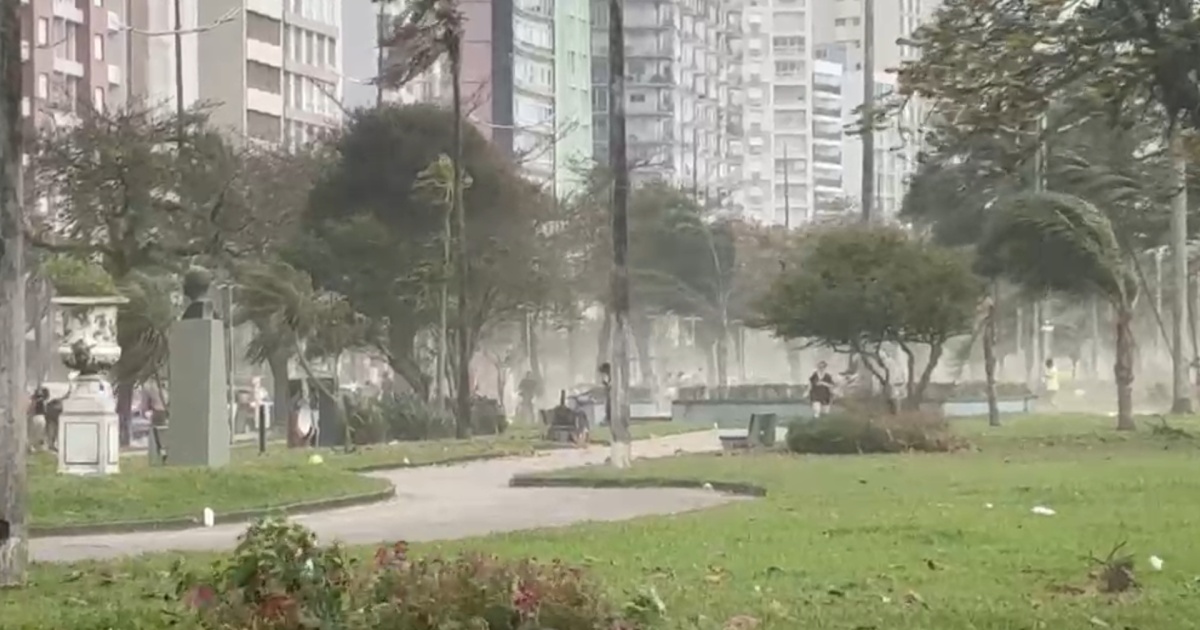 Ventos de 100 km/h em São Paulo: A Urgência da Adaptação Climática Urbana