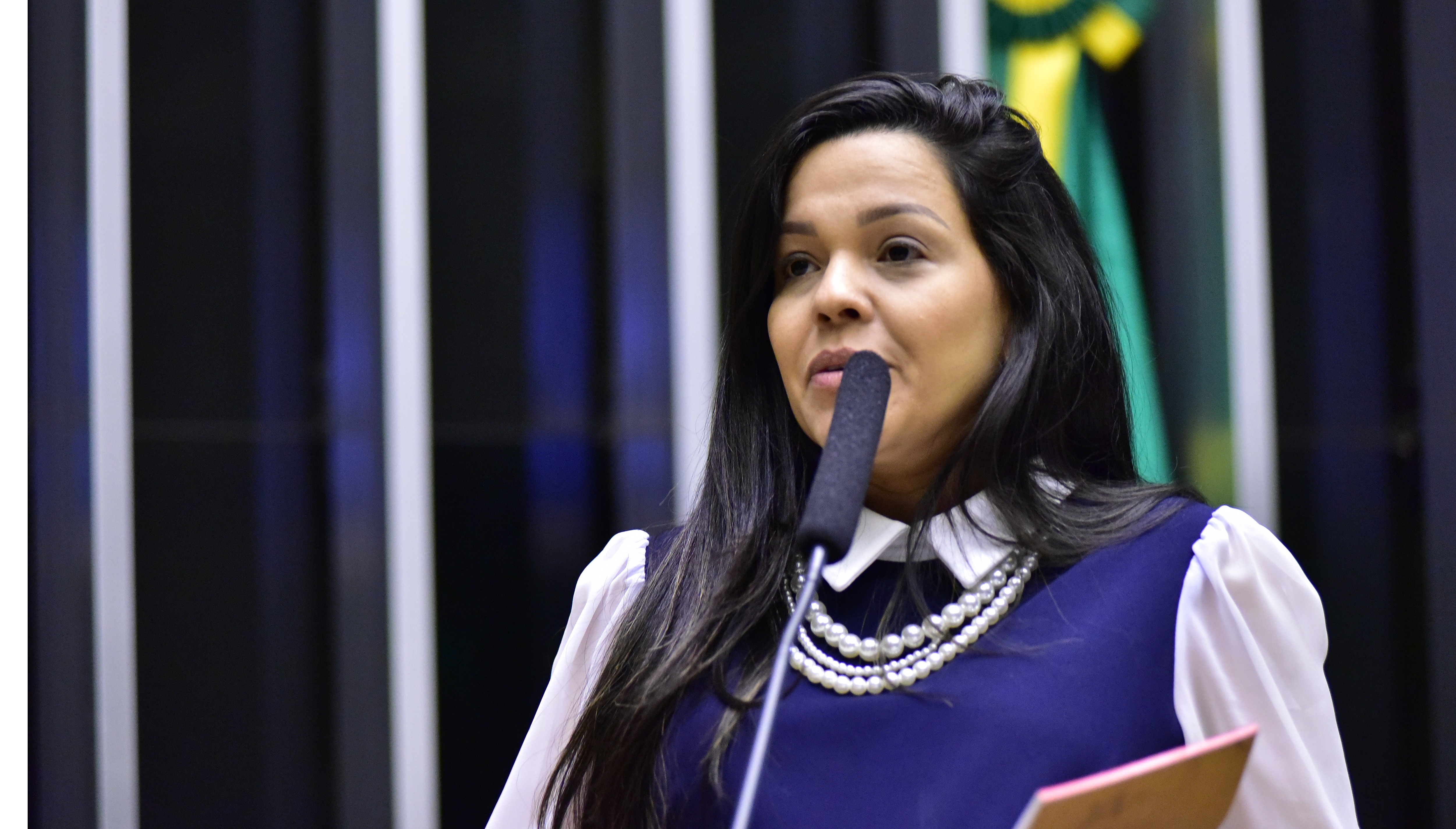 A Complexa Teia Eleitoral: Por Que o PL Busca uma Vice Nordestina e Feminina para Flávio Bolsonaro