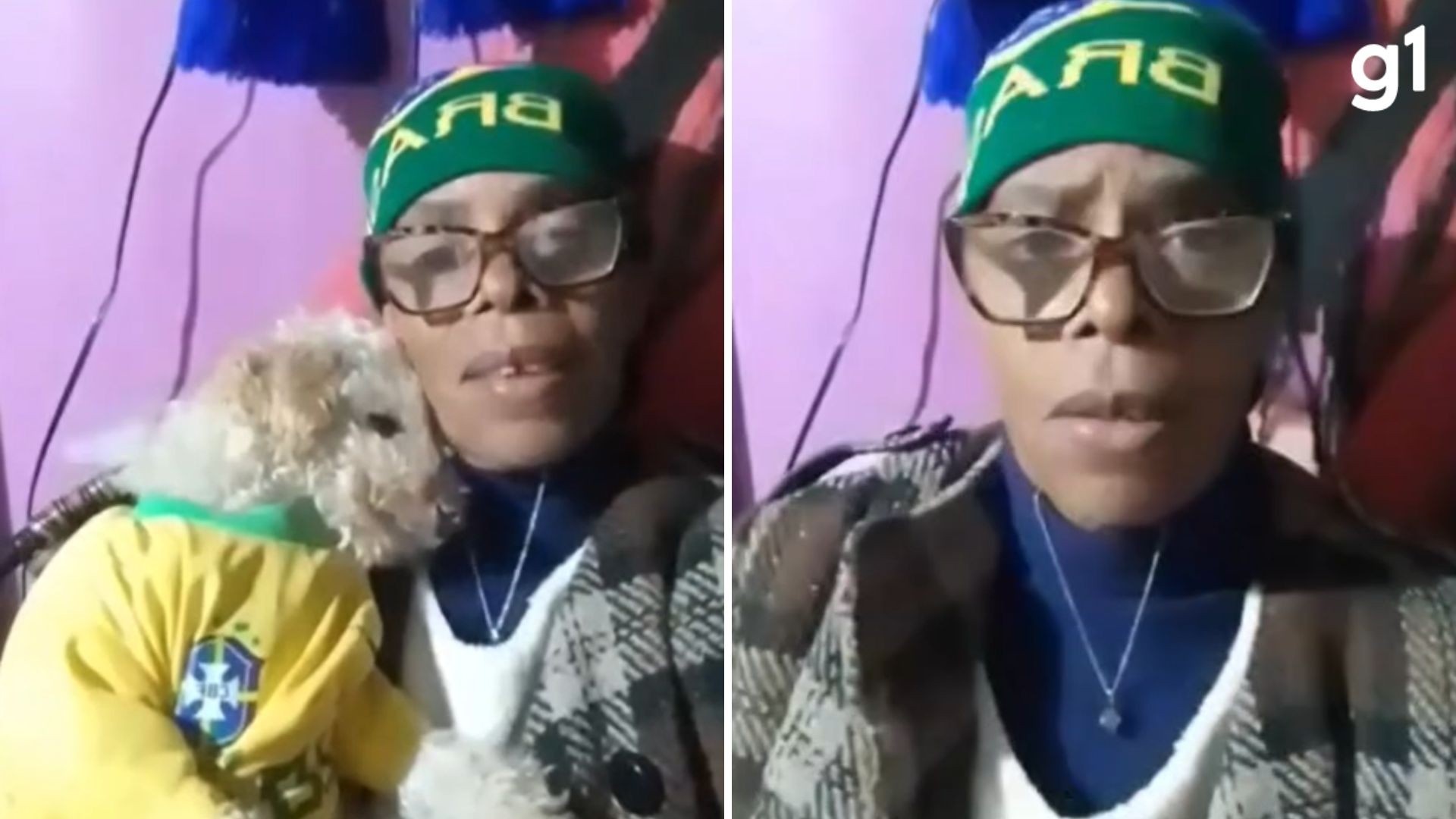 Vereadora do RS que confessou ter agredido cadela com vassoura é indiciada pela polícia