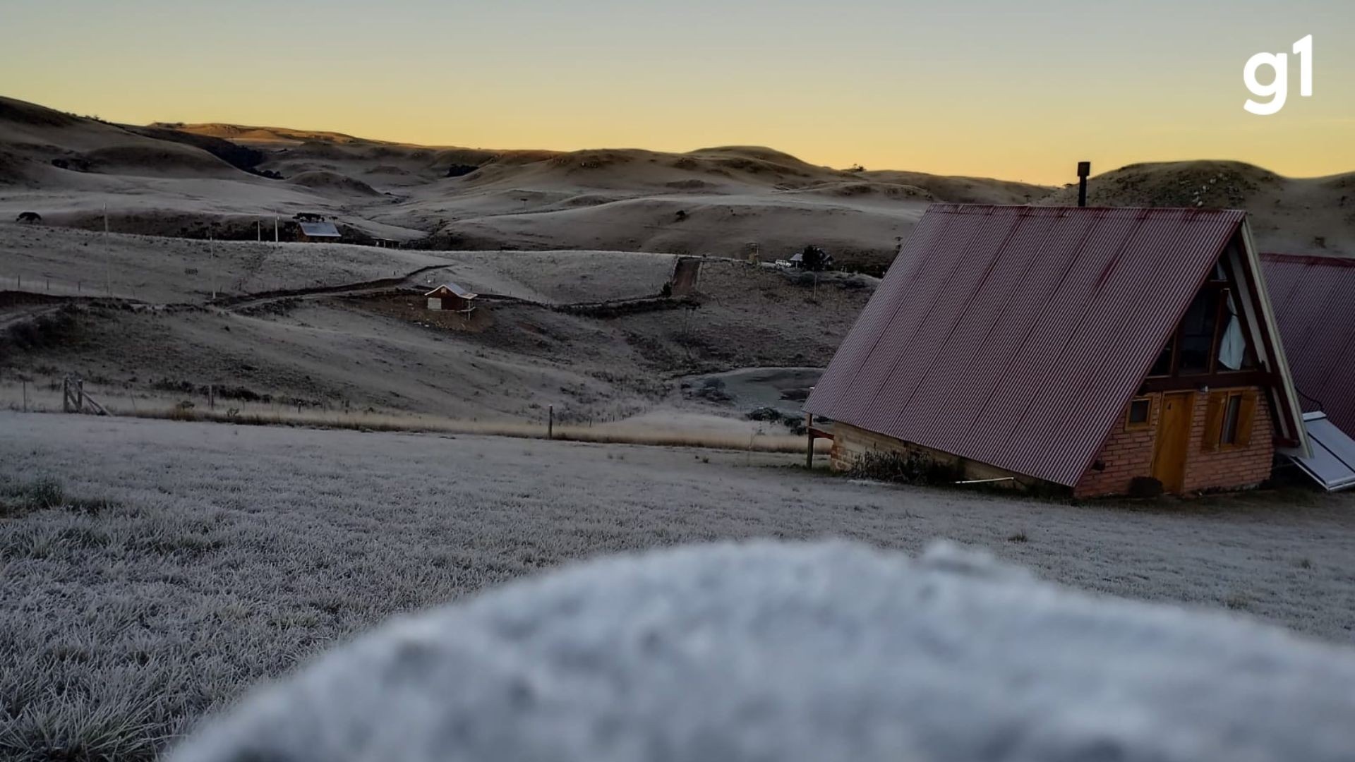 Geada na Serra Gaúcha: O Alerta Climático e Seus Repercussões Econômicas para a Região