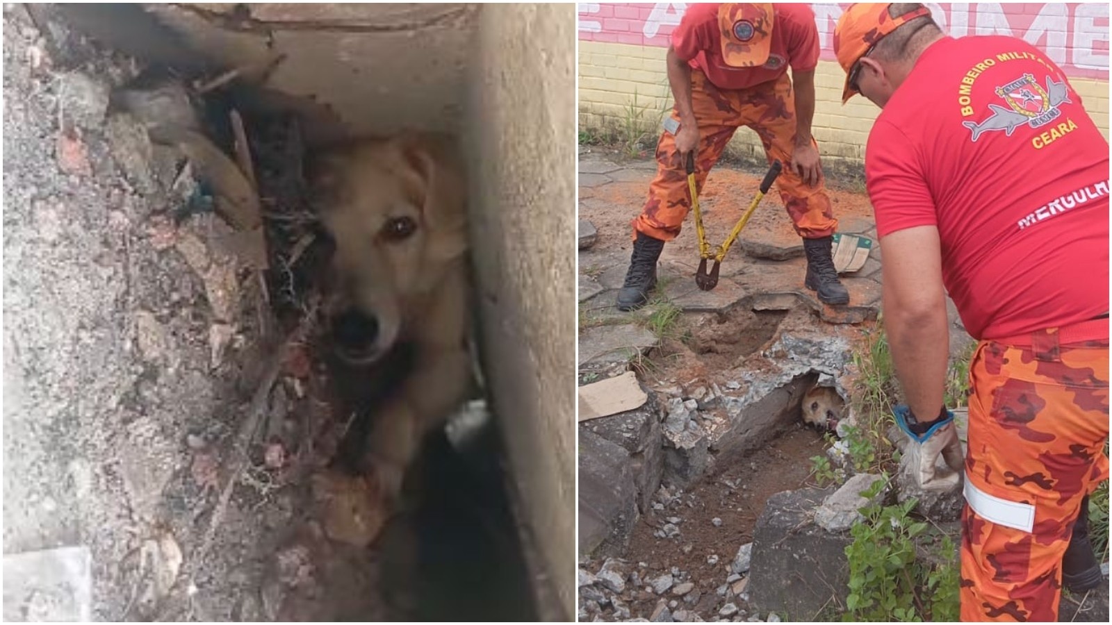 O Resgate em Fortaleza: A Infraestrutura Urbana em Debate e o Apelo à Cidadania Ativa