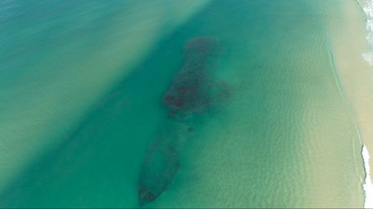 Vultosos Cardumes de Tainha em Laguna: Mais Que Imagens, um Indicador Vital para SC