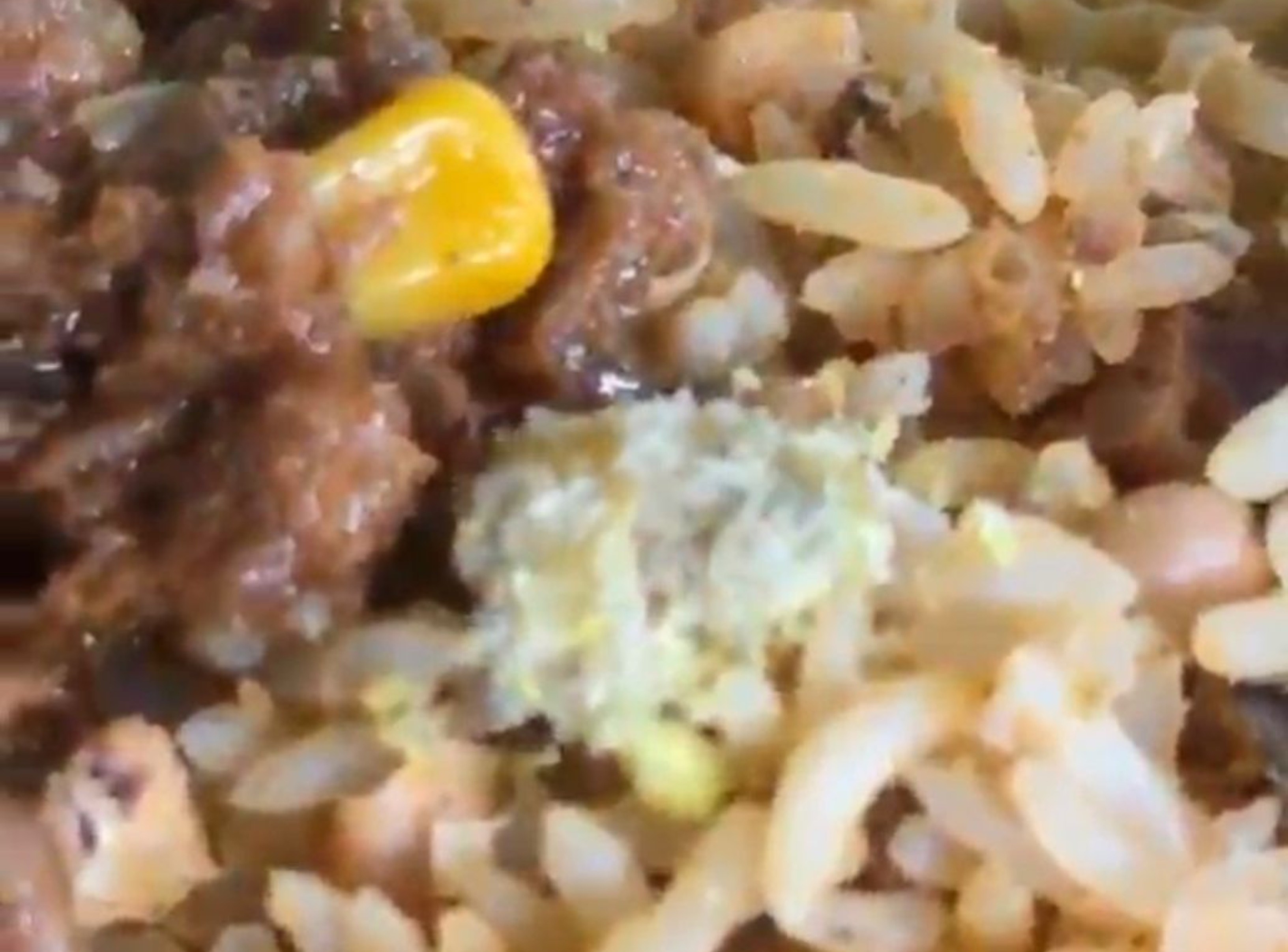 Segurança Alimentar em Crise: A Denúncia no IFRR de Caracaraí e o Alerta para a Saúde Pública Regional
