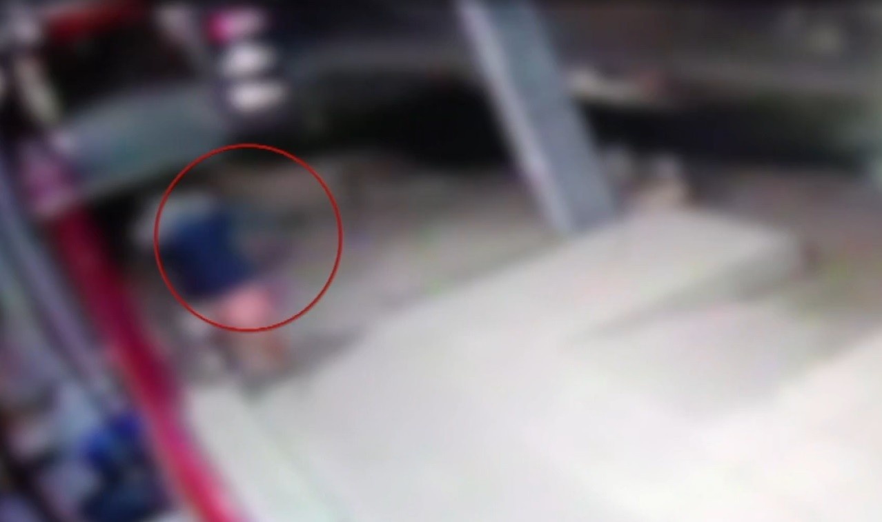 Violência Contra Animal Comunitário em Mossoró Expõe Fraturas no Tecido Social Urbano