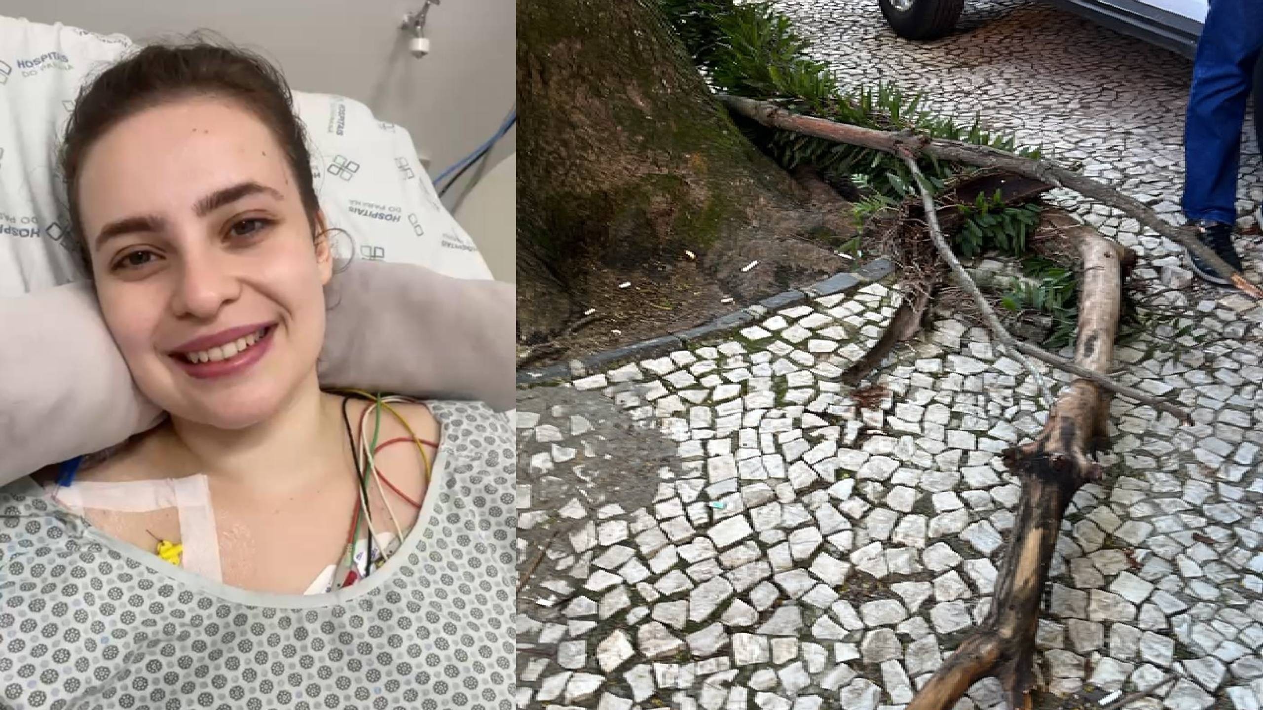 A Tragédia de Ana Beatriz: O Debate Urgente sobre Segurança Urbana e Inovação Médica em Curitiba