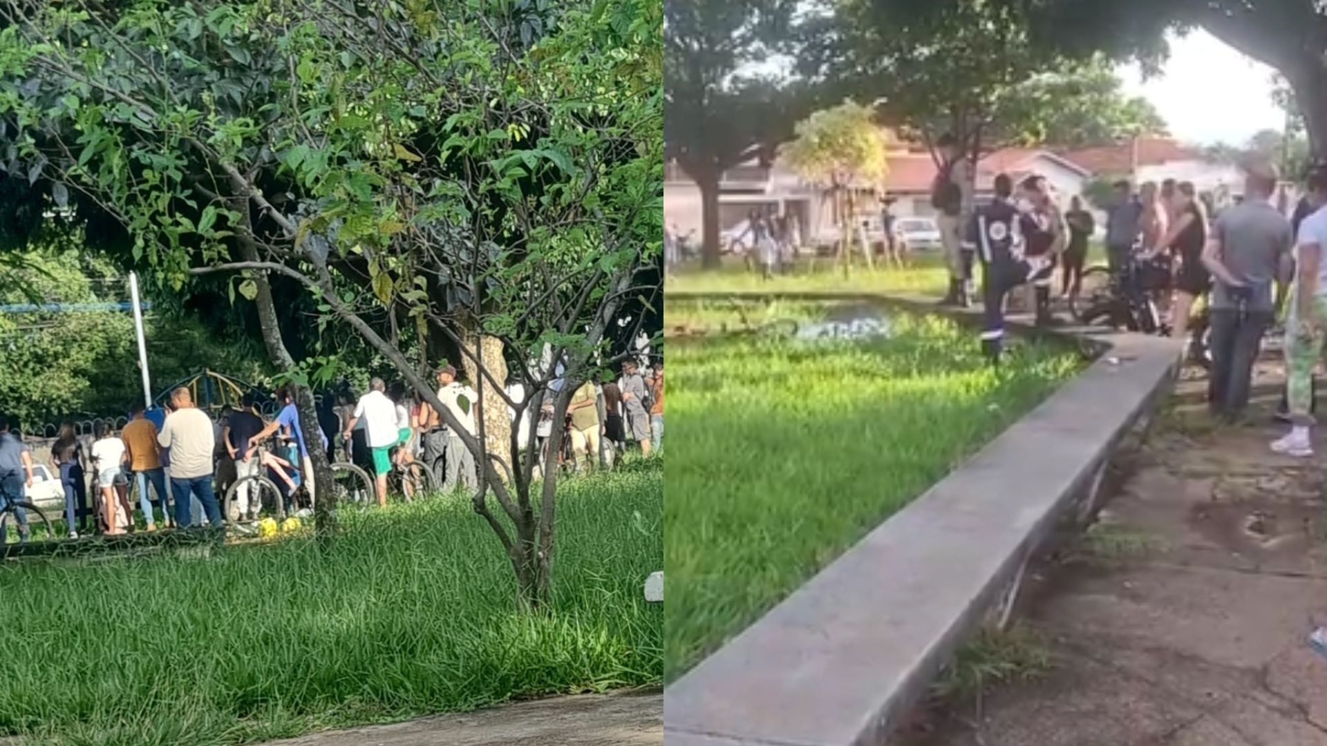 Furto de Placa em Uberlândia Revela Sofisticação Tática Criminal em Homicídio de Araguari