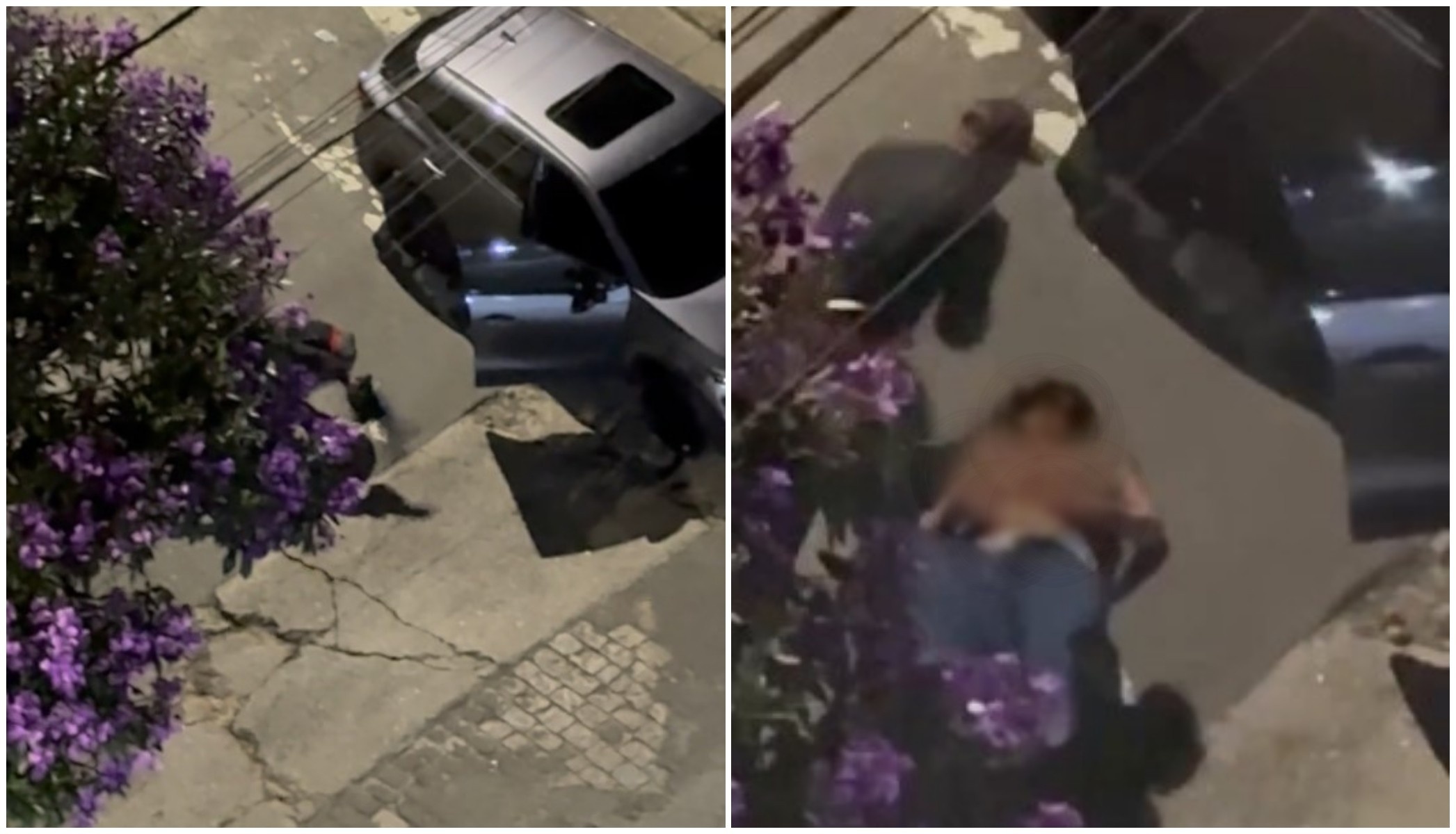 Agressões no Limão: Reflexos da Violência de Gênero e a Urgência de Respostas Locais