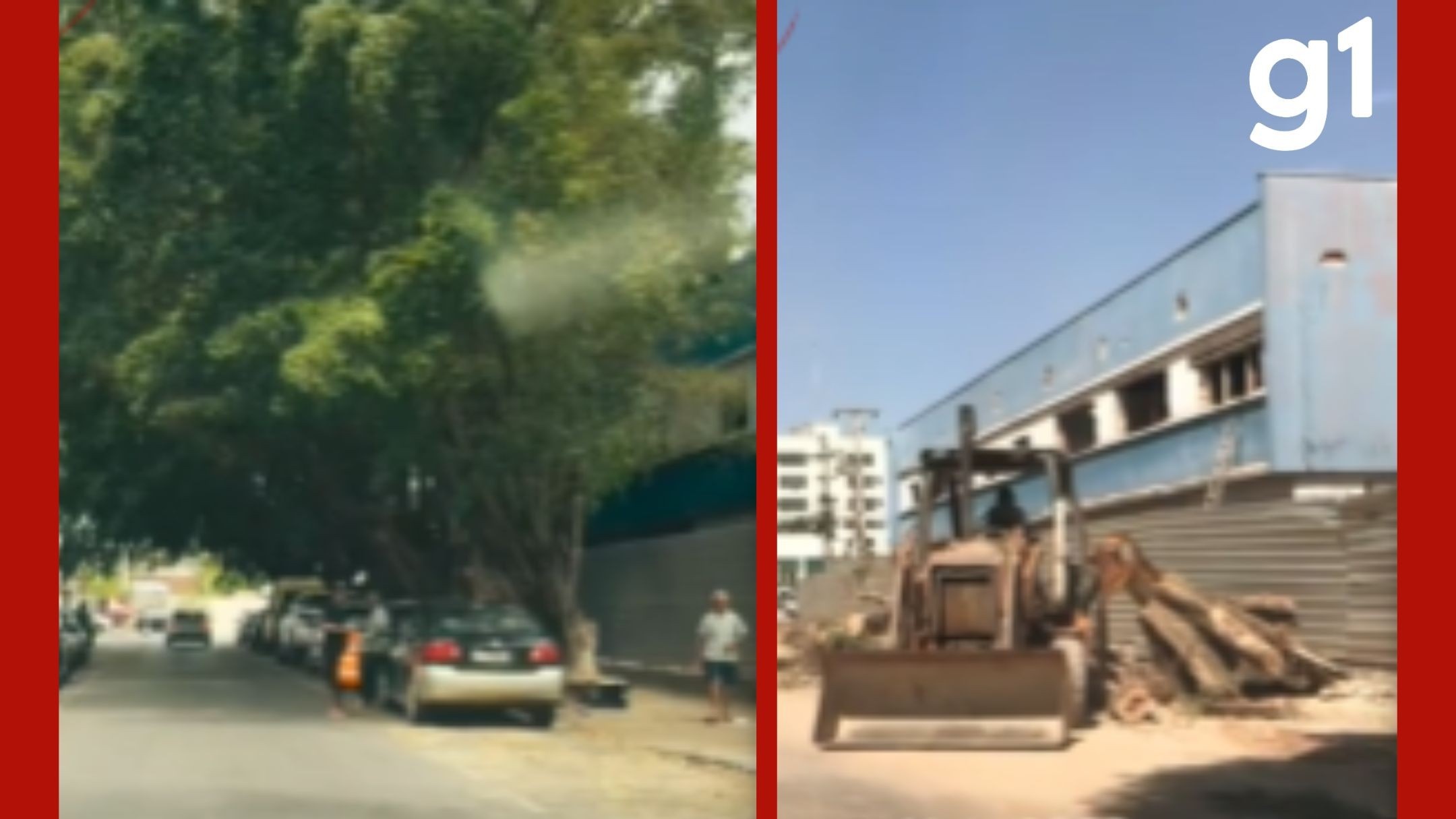 Desmatamento Urbano em Cuiabá: Além das Figueiras, um Debate Sobre o Futuro Verde da Capital
