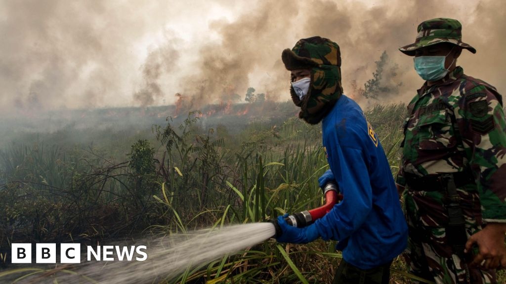 O Retorno Potente do El Niño: Análise das Consequências Climáticas e Socioeconômicas Globais
