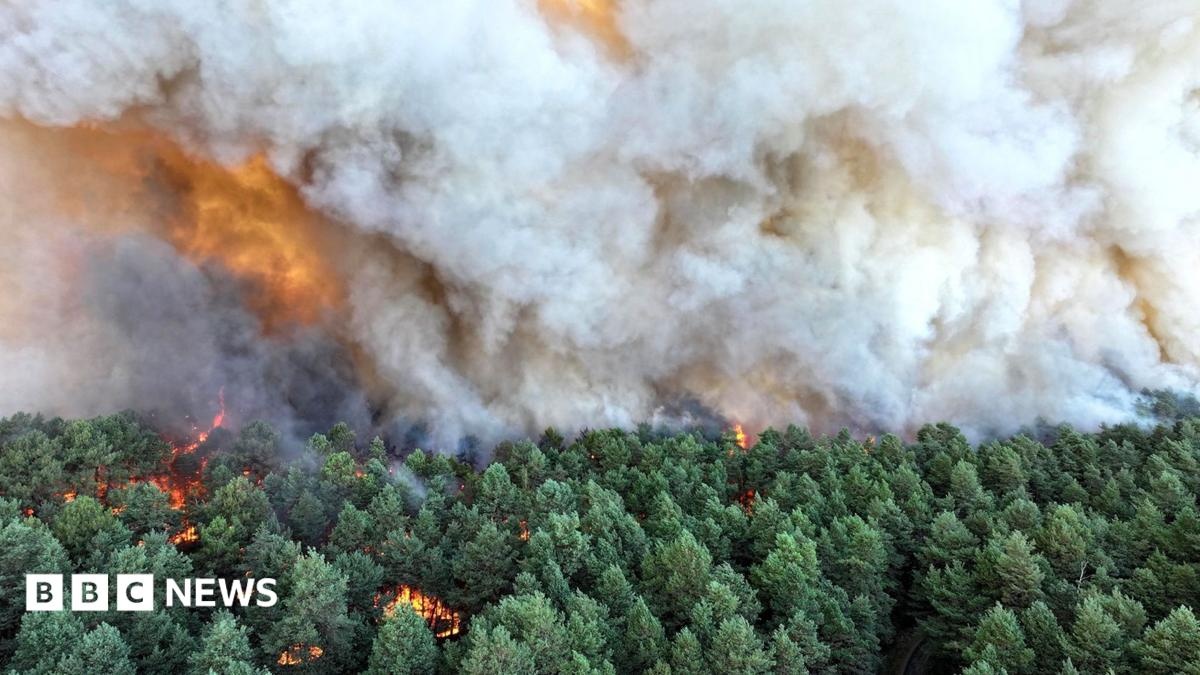 Incêndios Inéditos em Fontainebleau: A Emergência Climática à Porta de Paris