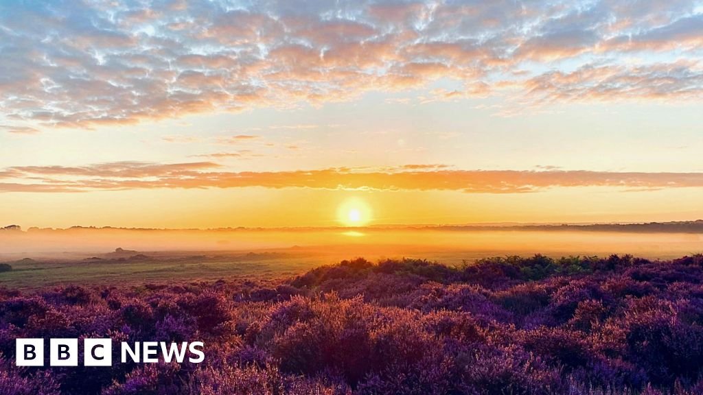 Norfolk Wildlife Trust celebra centenário com fim de semana gratuito